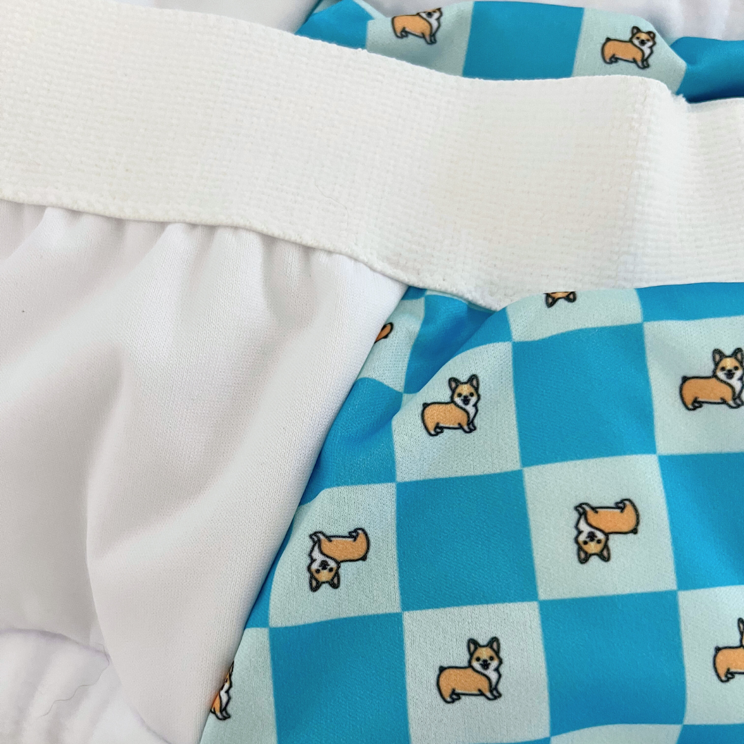 Protective Briefs Subscription Colors